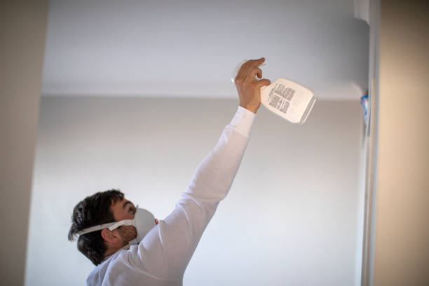 Best Attic Mold Removal  in Jamestown West, NY