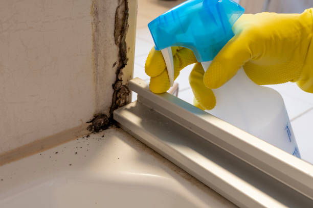 Best Water Damage Restoration  in Jamestown West, NY
