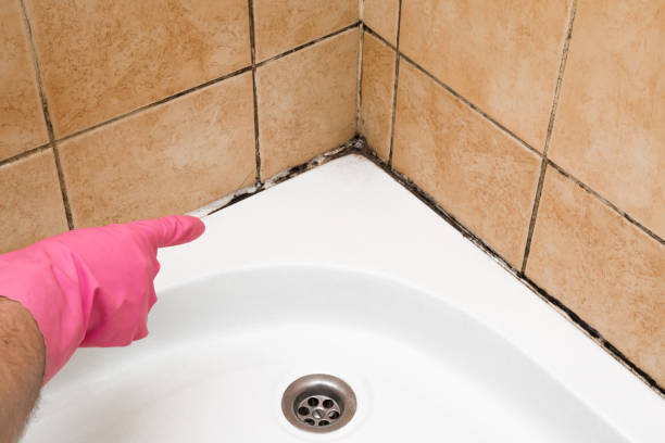 Best Mold Cleaning Services  in Jamestown West, NY